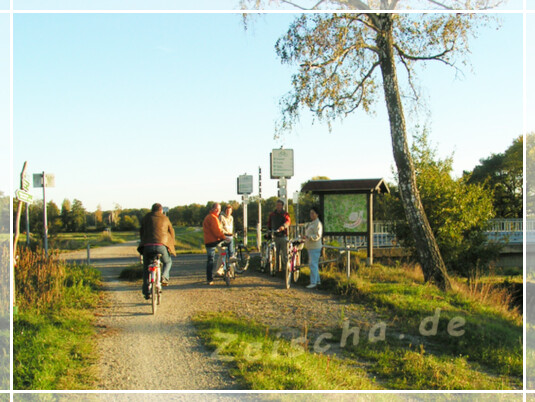 Schwarze-Elster Radweg auf dem Elsterdamm